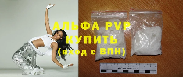 стаф Алексин