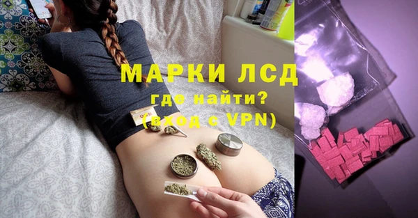 сатива Куйбышев