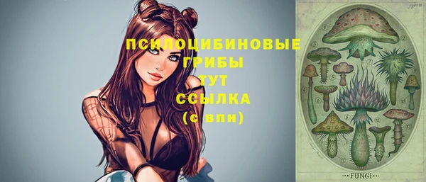 сатива Куйбышев