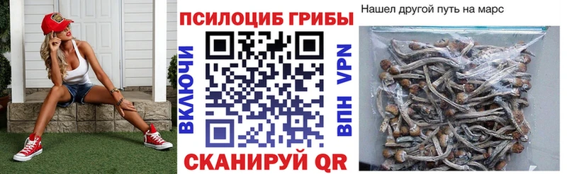 хочу наркоту  Электрогорск  гидра маркетплейс  Псилоцибиновые грибы Magic Shrooms 